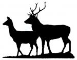 8 Point Stag & Doe Weathervane or Sign Profile - Laser cut 400mm